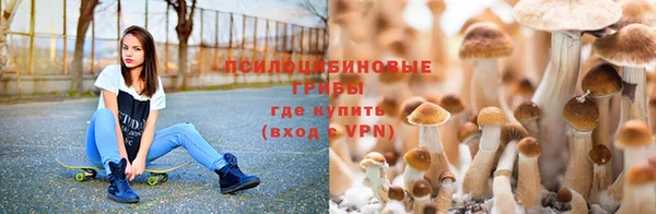 таблы Абинск