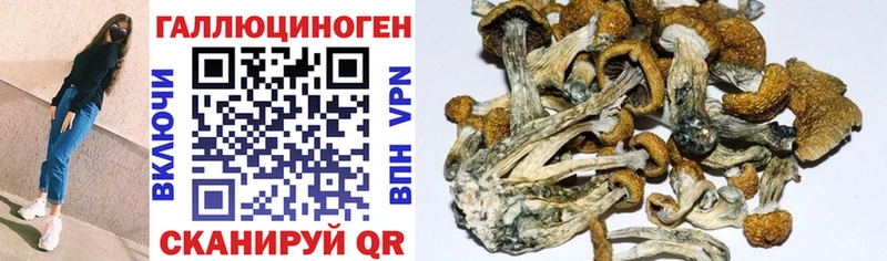 Псилоцибиновые грибы GOLDEN TEACHER  Назрань 