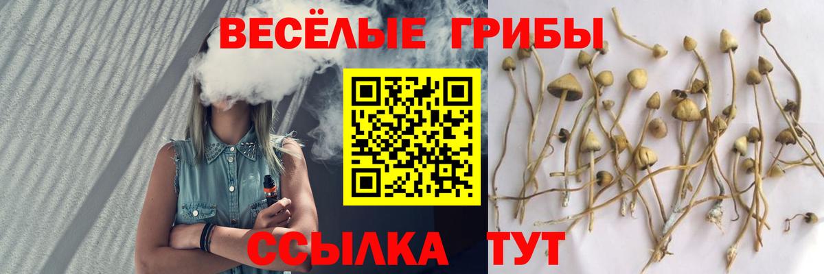 Галлюциногенные грибы GOLDEN TEACHER  Галлюциногенные грибы Magic Shrooms  Назрань  Вход с VPN 